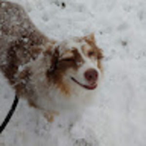 Meet your Posher, Dallas